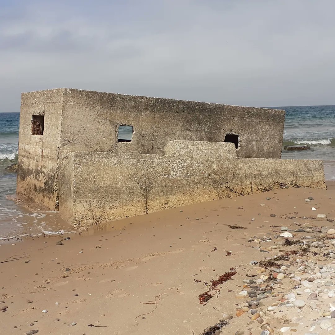 carbonchoicesuk's tweet photo. WW2 defences off Scotland to prevent invasion. Coastal erosion also in action. Anti tank defences and posts to prevent gliders landing.
#nairn #findhorn #burghead #culbinsands #culbinforest #roseisle #ww2defences #antitankdefences #antigliderposts #glider https://t.co/cwzbpk5jXl