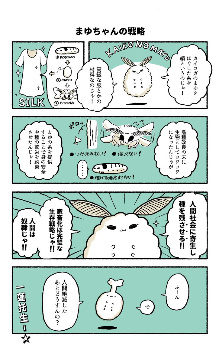 さなぎとまゆの4コマ 