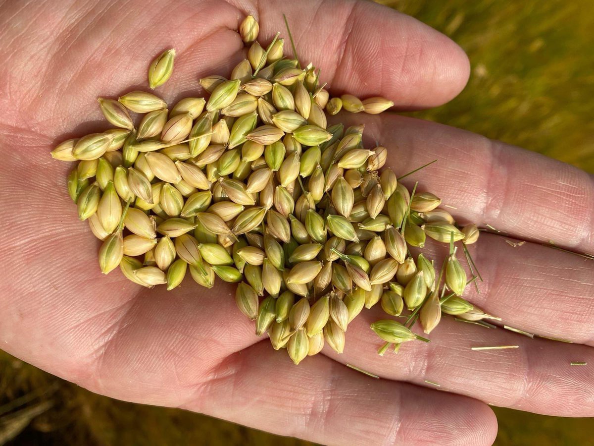 Southern Fuel & Farm Supplies Ltd tweet media