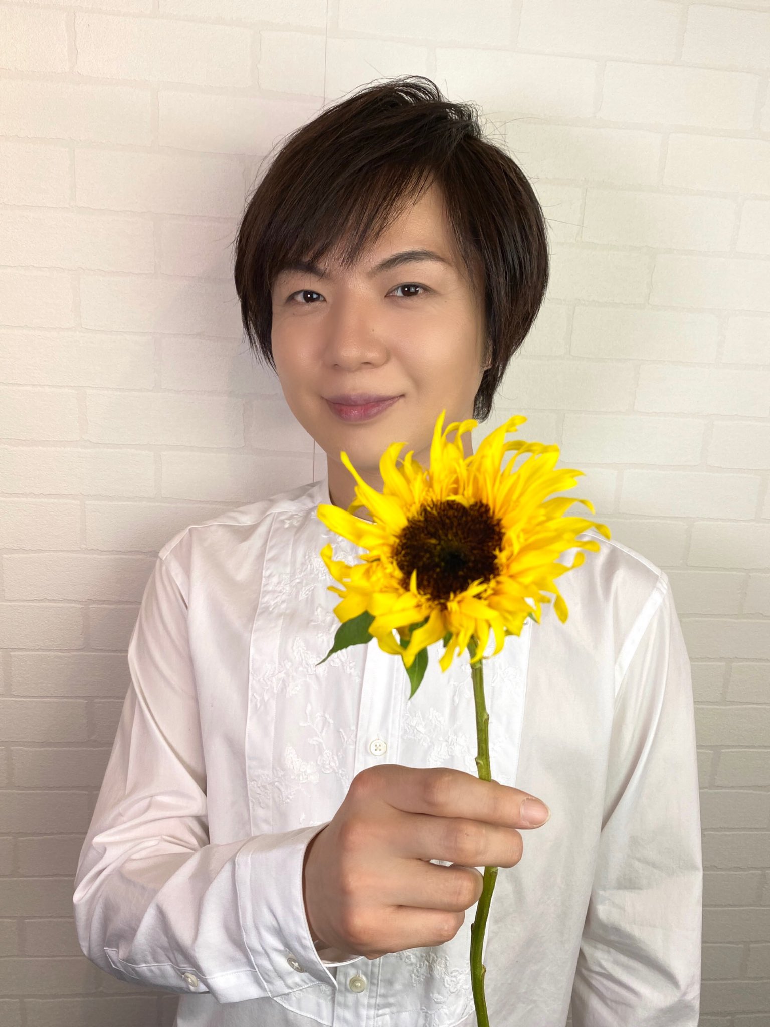 تويتر 竹島宏スタッフ 公式 على تويتر ヒマワリ パナッシェ 花言葉は 憧れ まるでスイーツな名前 ラテン語で 太陽の花 を 意味するヒマワリ エネルギーに満ち溢れて いますよね 今日も１日お疲れ様でした ひろネット 花便り 花言葉 花 Flower 花