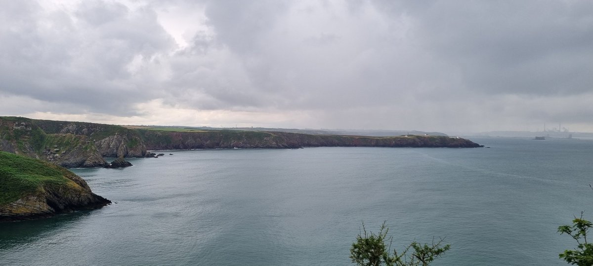 TimVCGallery's tweet image. A enjoyable morning at our @TheVCGallery Dig for Victory site with fellow Veterans.
I become IC mower again.
@CovenantTrust 
@RonSkinners 
@AsconaGroup 
#Veterans 
#outdoors
#Wellbeing