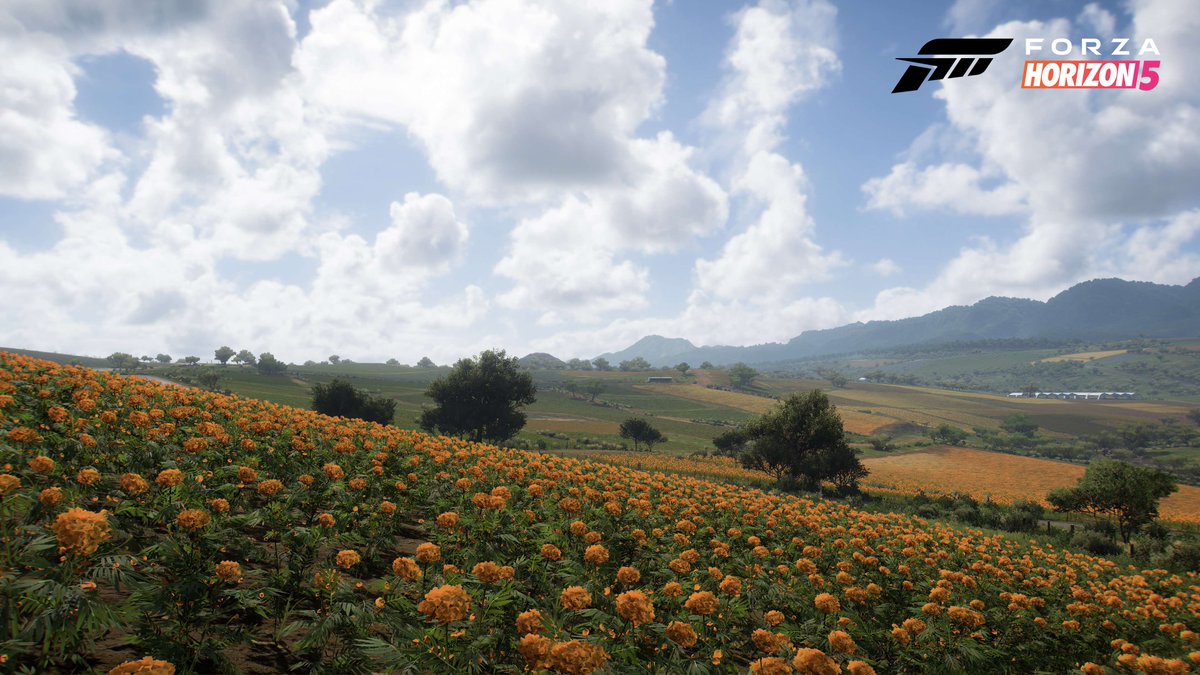 xboxuk's tweet photo. excuse me #ForzaHorizon5, just wanna say your biomes look breathtaking that's all 👉👈

♦️ Canyon
🌊 Tropical Coast
🍞 Farmland
🌱 Arid Hills https://t.co/BcMFOo3oRr