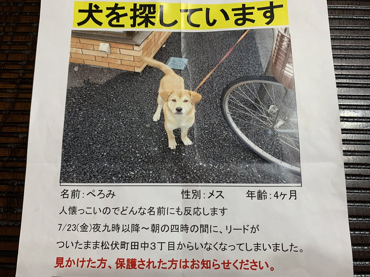 imamesomeso's tweet photo. ぺろみですー😭
ぺろみがいないんですー😭 https://t.co/MJXgXJbgoi