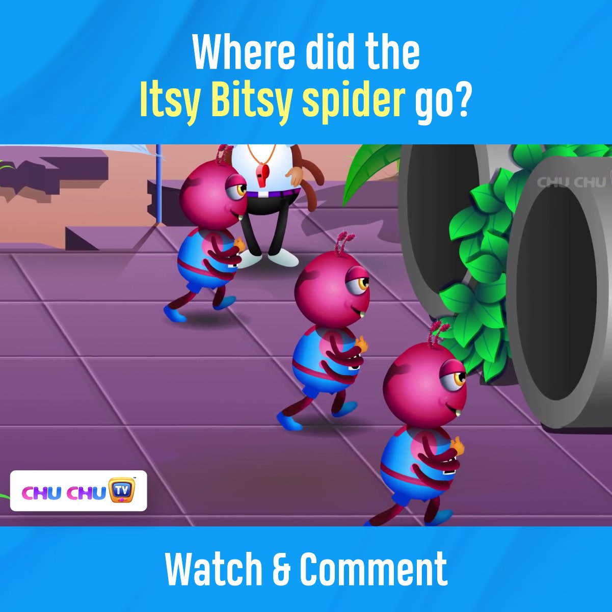 Watch: Itsy Bitsy Spider Song