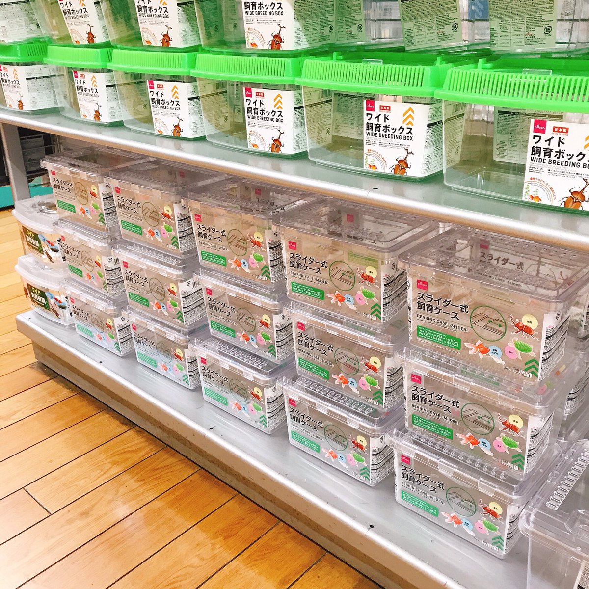 Nk Dorcus 流行りに乗って 笑 近くのdaisoに遂に入荷してました たしかに110円と330円にしてはすごい 通気口がもう少し小さかったら鬼のようにストックしたいグッズ 隙間スポンジとか色々試そうと思ったけど 断念して帰宅です笑 飼育ケース Nk Dorcus 流行りに乗って 笑 近くのdaisoに遂に入荷してました たしかに110円と330円にしてはすごい 通気口がもう少し小さかったら鬼のようにストックしたいグッズ 隙間スポンジとか色々試そうと思ったけど 断念して帰宅です笑 飼育ケース