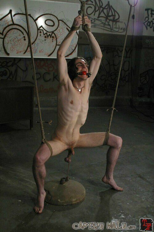 Hairy torture pounded natural