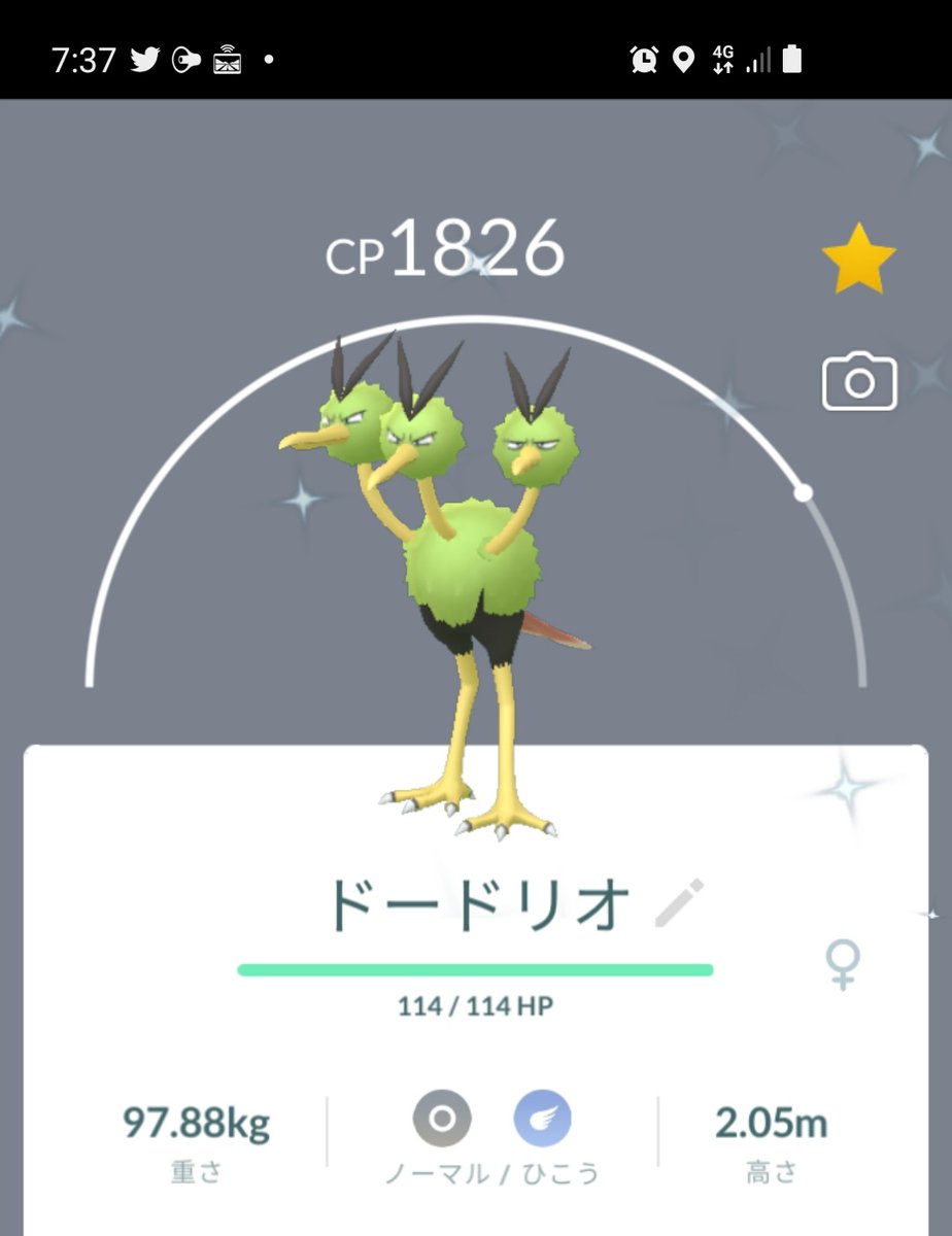 Etiqueta ドードリオ Al Twitter