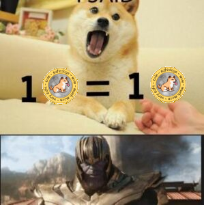 SafeDoge tweet media