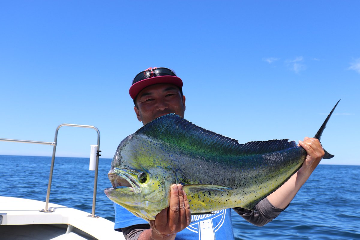 Tomoyuki Ushiwatari 金龍丸 トロピカルチューズデイ ブリにシイラ 今日網走までは釣りキャンプに 豊浦の遊漁船 マジカルアワーの船長遊びに来てくれました 北海道 網走 豊浦 遊漁船 船長 金龍丸 マジカルアワー キャスティング ジギング