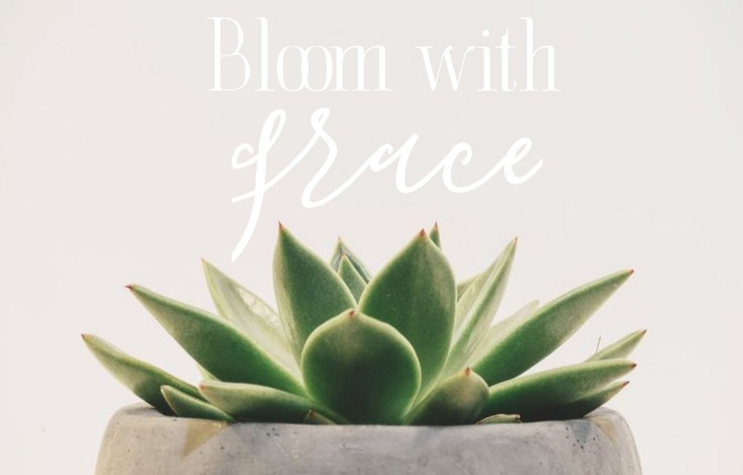 CliqueSalons's tweet photo. Blooming with grace is growing under any  circumstances, good or bad 🤍 https://t.co/xKsHr1xAoD