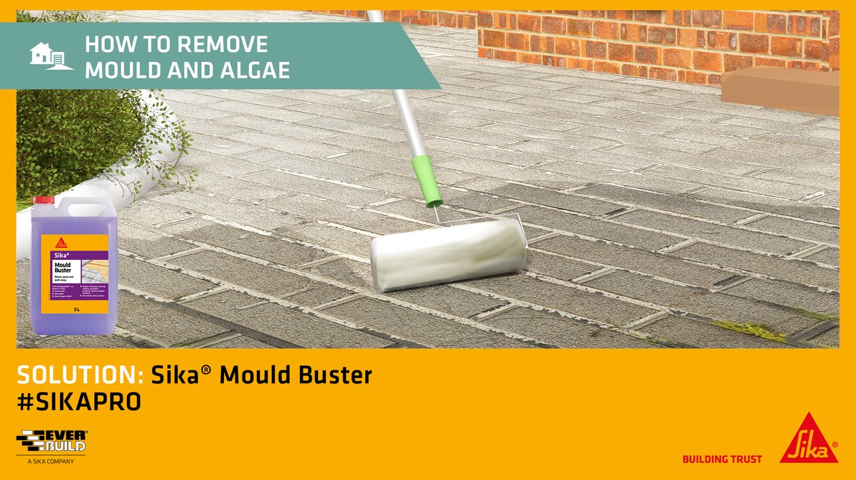 SikaIreland's tweet photo. Sika Mould Buster removed all types of organic growth from surfaces including driveways, #patios, fences, brickwork and masonry. Browse our range of Sika and @everbuild products for all your domestic projects: https://t.co/CLJcHxUIGq
#SikaPro #diy #homeimprovement #driveway https://t.co/3uTEm8KIle