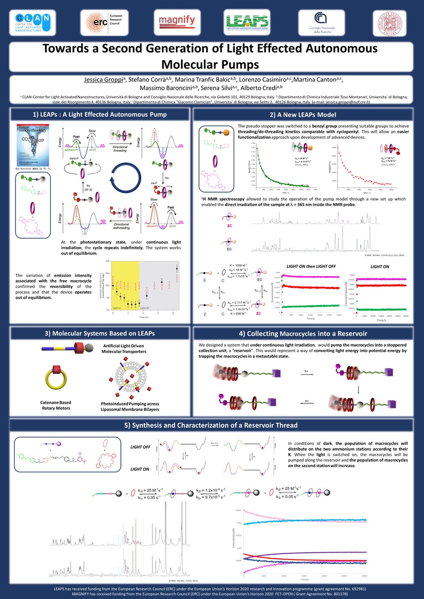 Jessica Groppi tweet media