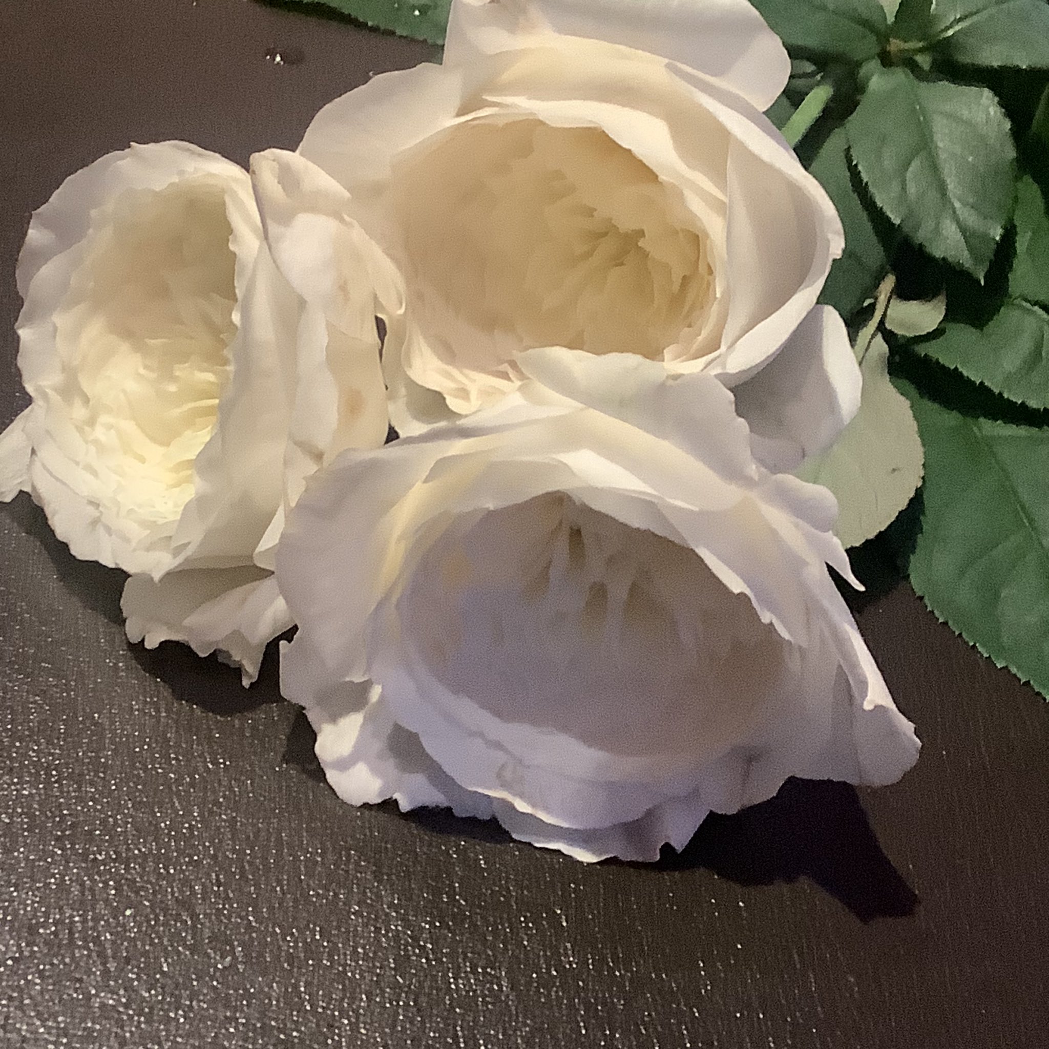 Naoe Hida Floraray Twitter