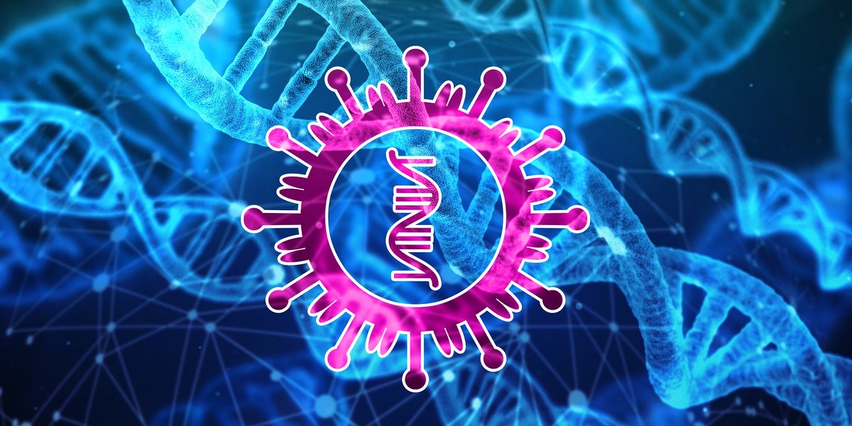 UK scientists designed the world’s most sophisticated #COVID19 genomic sequencing system during the pandemic, processing the data of more than 675,000 coronavirus genomes to date. Here’s how they did it 🧬 > birminghamhealthpartners.co.uk/uk-scientists-… @samstudio8 @pathogenomenick @TheCGPS #Genomics