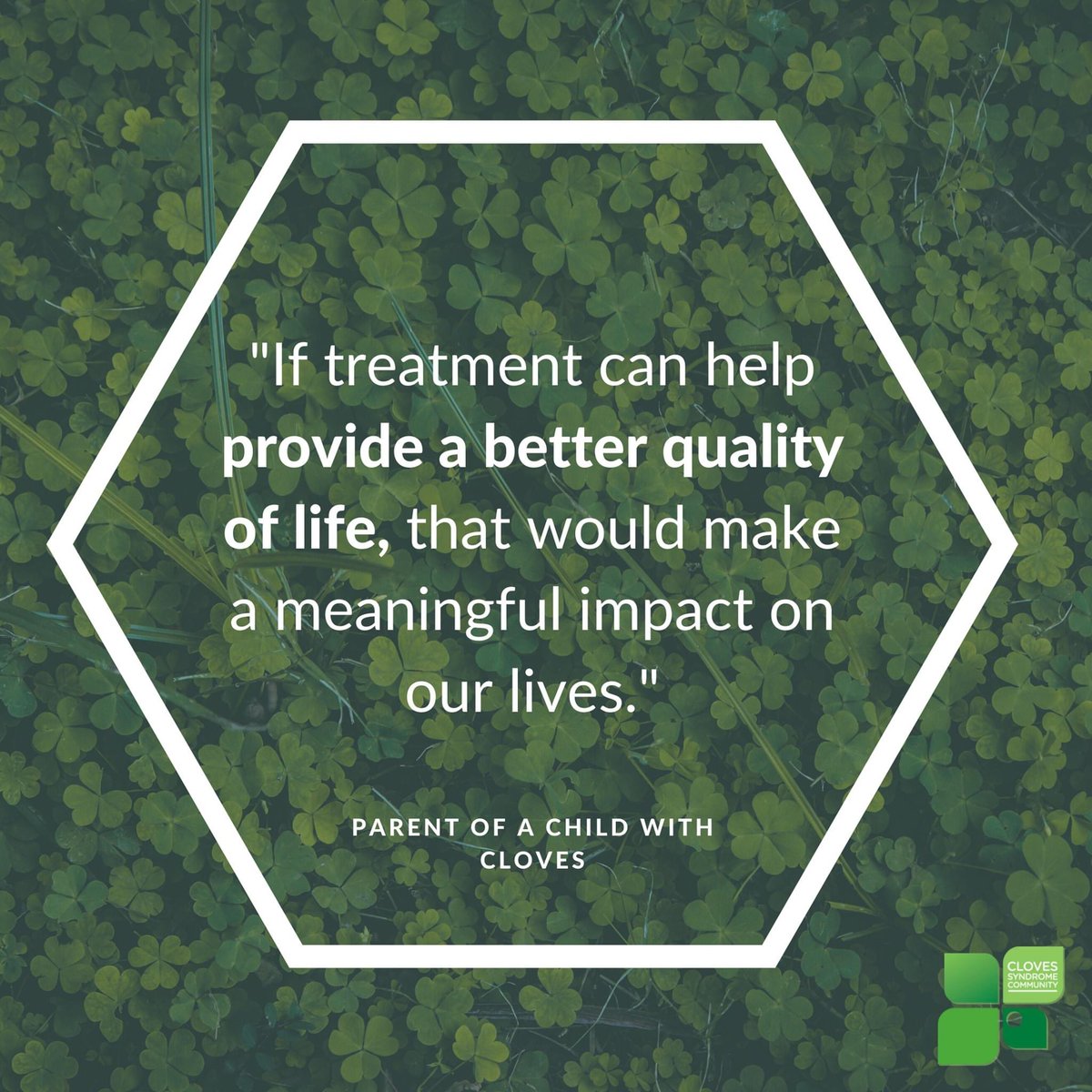 CLOVESSyndrome's tweet photo. 10 Days of CLOVES Awareness🍀🍀
There is no cure for CLOVES. Surgery &amp; other medical interventions are the primary treatment for CLOVES . There are a few targeted treatments that work well for some, but not everyone.  

#CLOVESAwarenessDay #ILoveSomeoneWithCLOVES #CLOVESsyndrome https://t.co/tsuAv81Izo