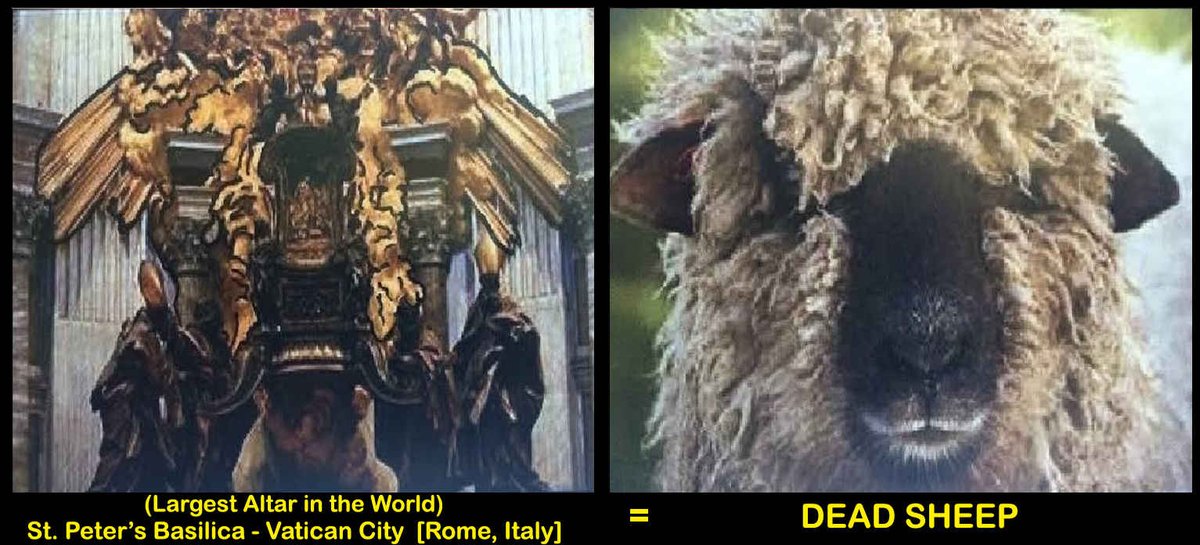 largest-altar-in-the-world-st-peters-basilica-vatican-city-dead-sheep-kleck-3