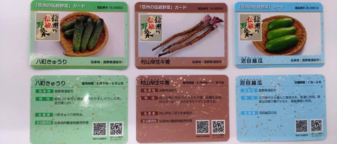 長野県須坂市 信州の伝統野菜カード に須坂市の八町 はっちょう きゅうり 村山早生 むらやまわせ ごぼう 沼目越瓜 ぬまめしろうり が登場しました 須坂の伝統野菜の紹介 T Co Nhw6xxfzay 須坂市農林課 産地ブランド係 Tel026 248