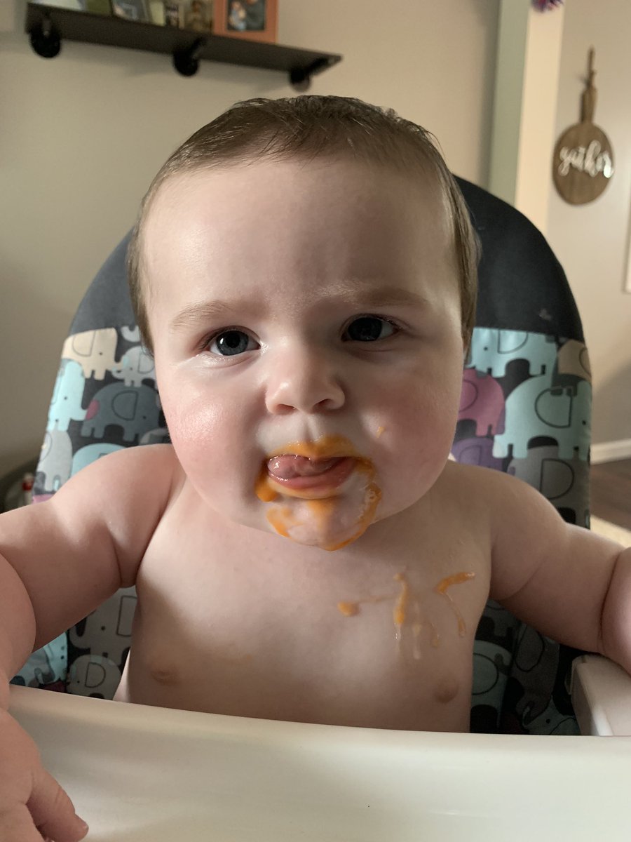 Mmackin17's tweet photo. This little man turned 7 months old yesterday! Baby gates installed - we’ll have a crawler soon. https://t.co/ba6rThiQrg