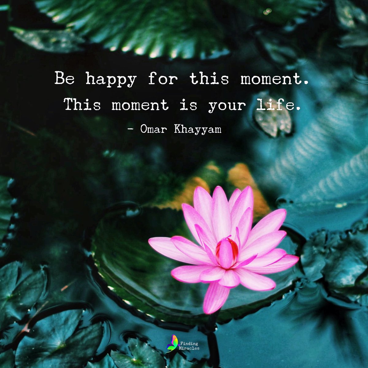 Finding_miracle's tweet photo. Be Happy for this moment. This moment is your life. - Omar Khayyam.
#PositiveVibes #life #quote https://t.co/V7tQPAahmh
