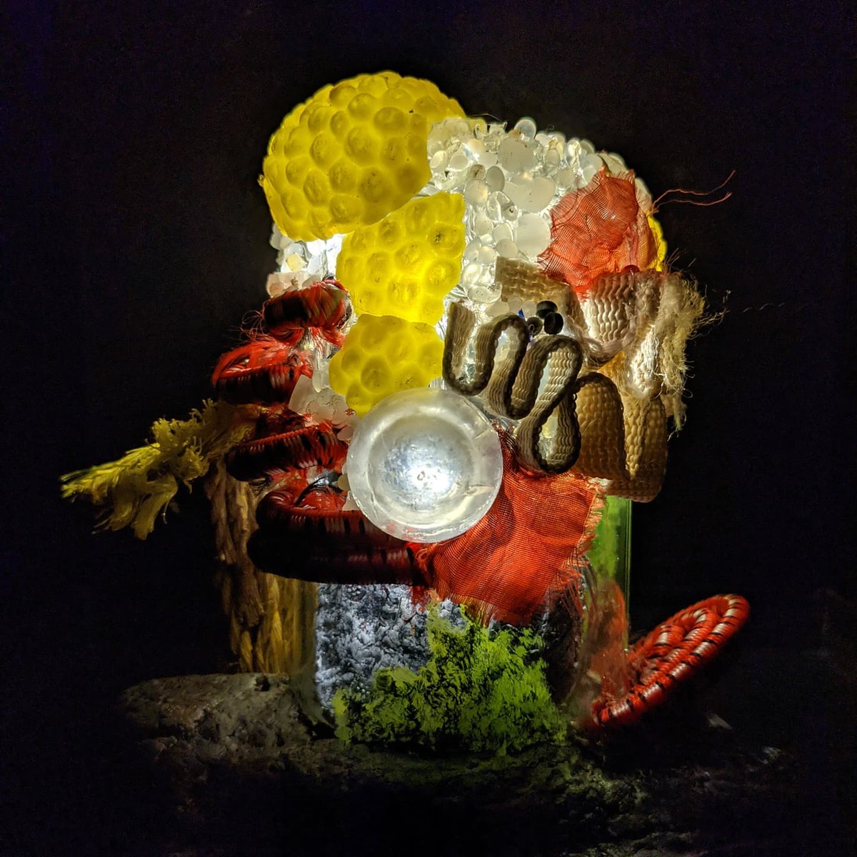 SarahTihane's tweet photo. Thank you @metromorning for talking about the Litter Art program with Brittania and I today! You can see the @aGreenerFuture art online in November, with a gallery show if possible. I hope my natural history museum-inspired art prompts joy and thoughtfulness about our lakes https://t.co/m3yPv4JOQF