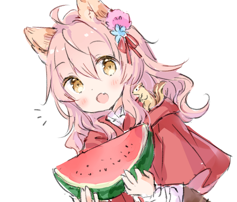 わたあめ スイカの日 わたあめ スイカの日
