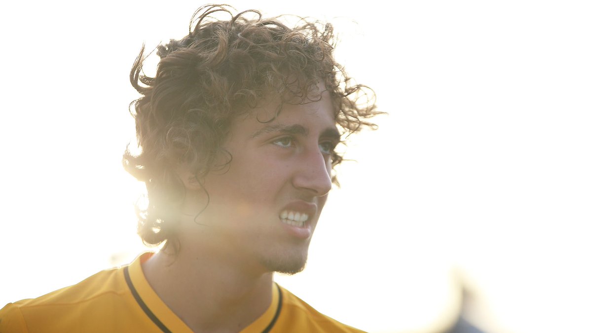 TalkingWolves's tweet image. As part of a big operation investigating issues with agents, the transfer of Fabio Silva from Porto to #Wolves is being investigated by Portuguese authorities. 

€7m of the fee went to Gestifute and €3m to STV, a company which belongs to Fabio Silva’s father. [Correio da Manhã]