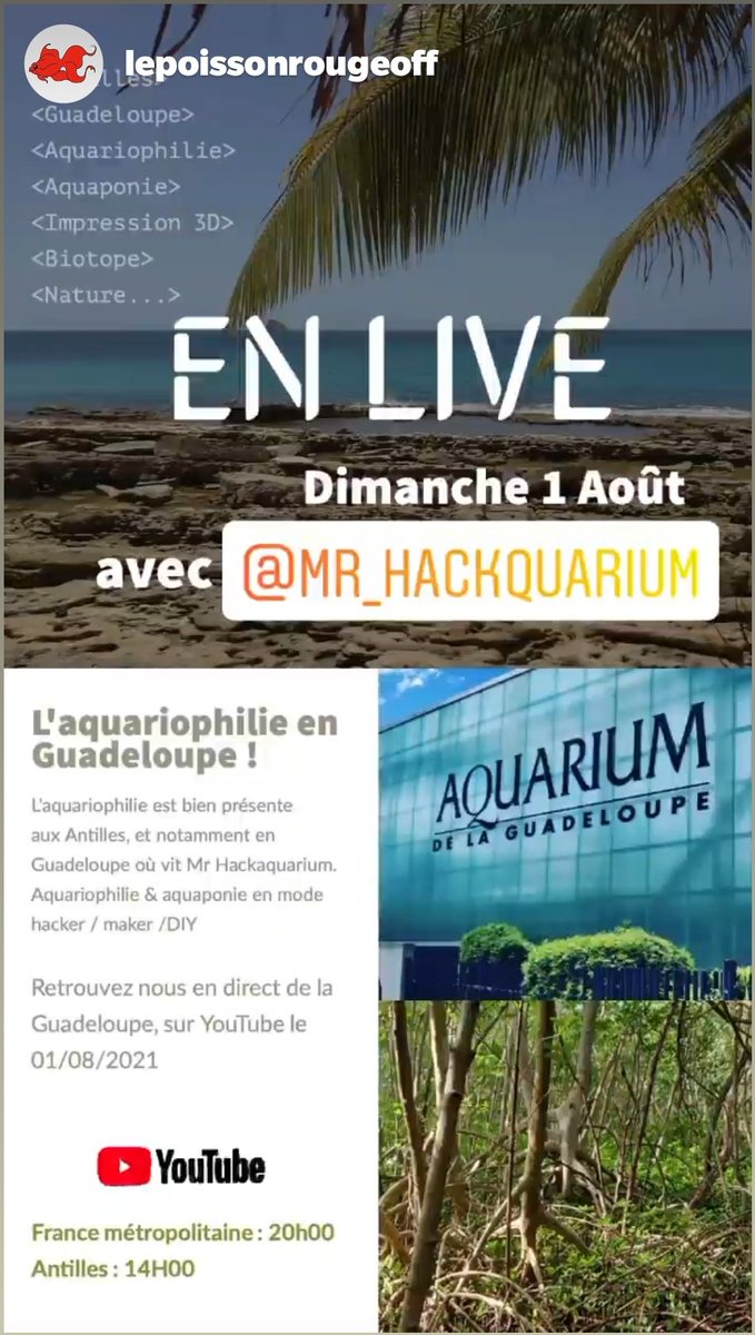 mr_hackquarium's tweet image. ☺️ Je suis le prochain invité de @RoiAnnie pour le live du 1er août. Nous discuterons DIY et aquariophilie aux Antilles avec l'approche de Mr #Hackquarium : aquariophilie et aquaponie en mode hacker / maker
👉France 20h / Antilles 14h
youtube.com/channel/UC-JR3…