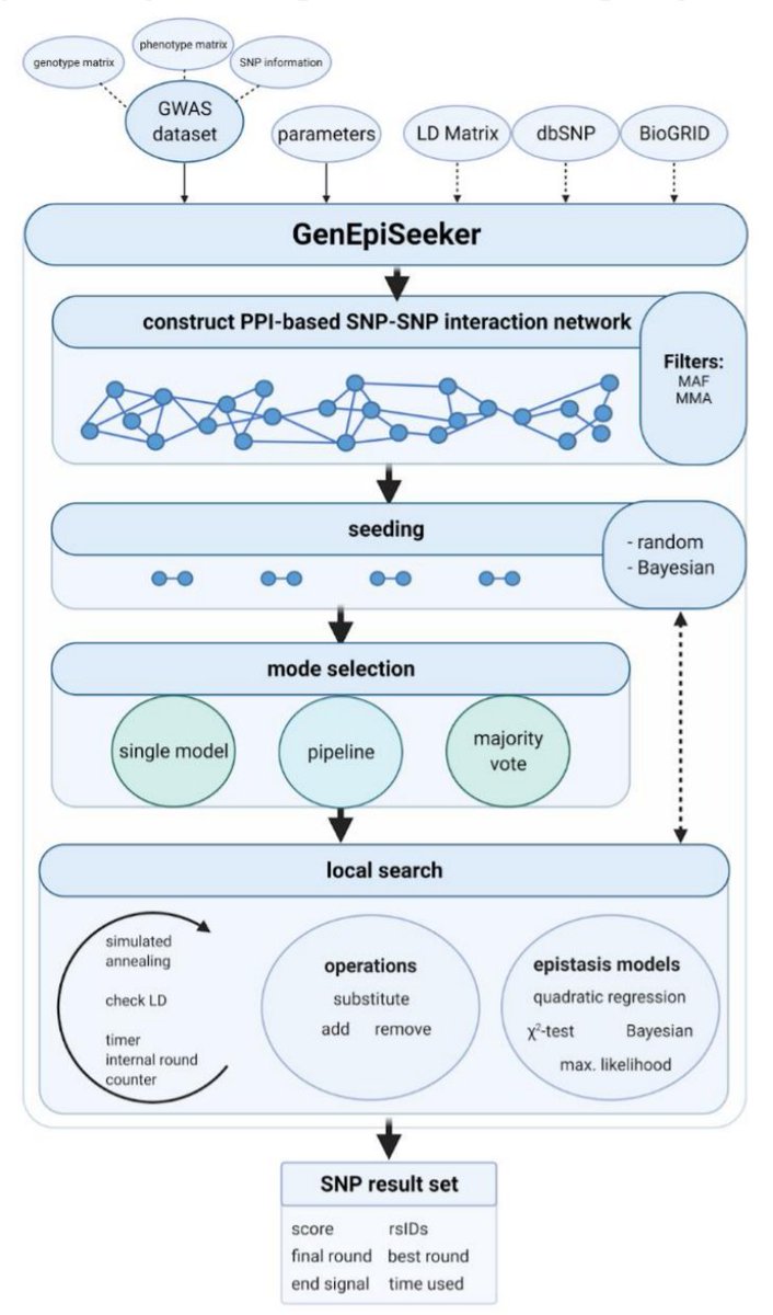 mkutmon's tweet image. Markus Hoffmann presenting &quot;Simulation, modeling, and network-guided detection of epistasis&quot;

- Simulation of epistasis with EpiGEN
- New statistical epistasis model based on maximum likelihood 
- New epistasis detection tool: GenEpiSeeker

#NetBio #ISMBECCB21