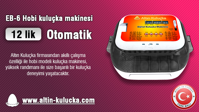 12 li Tam otomatik Hobi kuluçka makinesi, süs kuşları üretimi için en iyi seçenek.

🌐altin-kulucka.com/hobi-kulucka-m…
