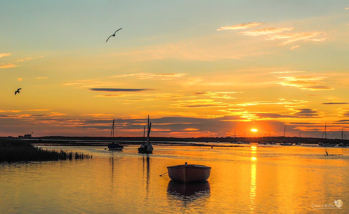 Happy Norfolk Day 🧡🥰🧡
I have had some many beautiful visits to Norfolk and always love capturing moments there 🙏🏻
#NorfolkDay #NorfolkDay2021 #LoveNorfolk

My Photos are from the north Norfolk coast in the summer. @visitnorfolk @ChrisPage90