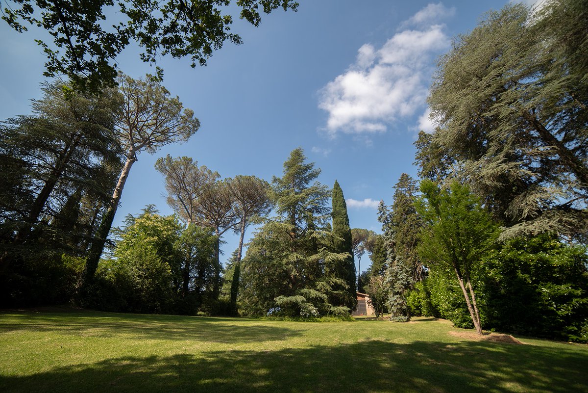 LVN_srl's tweet photo. Con un #parco così... Si fa festa e ci si incontra ne #Le4stagioni. Inevitabile ;-) https://t.co/Ri8ISMd3v2 https://t.co/KiWgc9SAmA