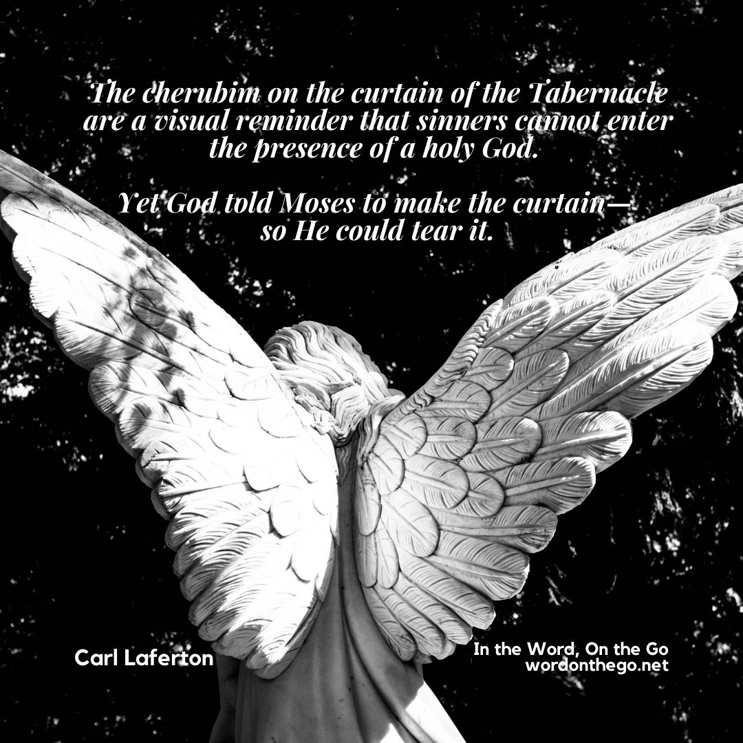 In this 10-minute discussion, author and publisher <a href="/CarlLaferton/">Carl Laferton</a> guides a breathtaking tour of the Bible that even kids will enjoy! 

wordonthego.net/184

#podcast #podcastforfamilies #IntheWordOntheGo <a href="/thegoodbookusa/">The Good Book Company USA</a> <a href="/thegoodbookuk/">The Good Book Company UK</a>