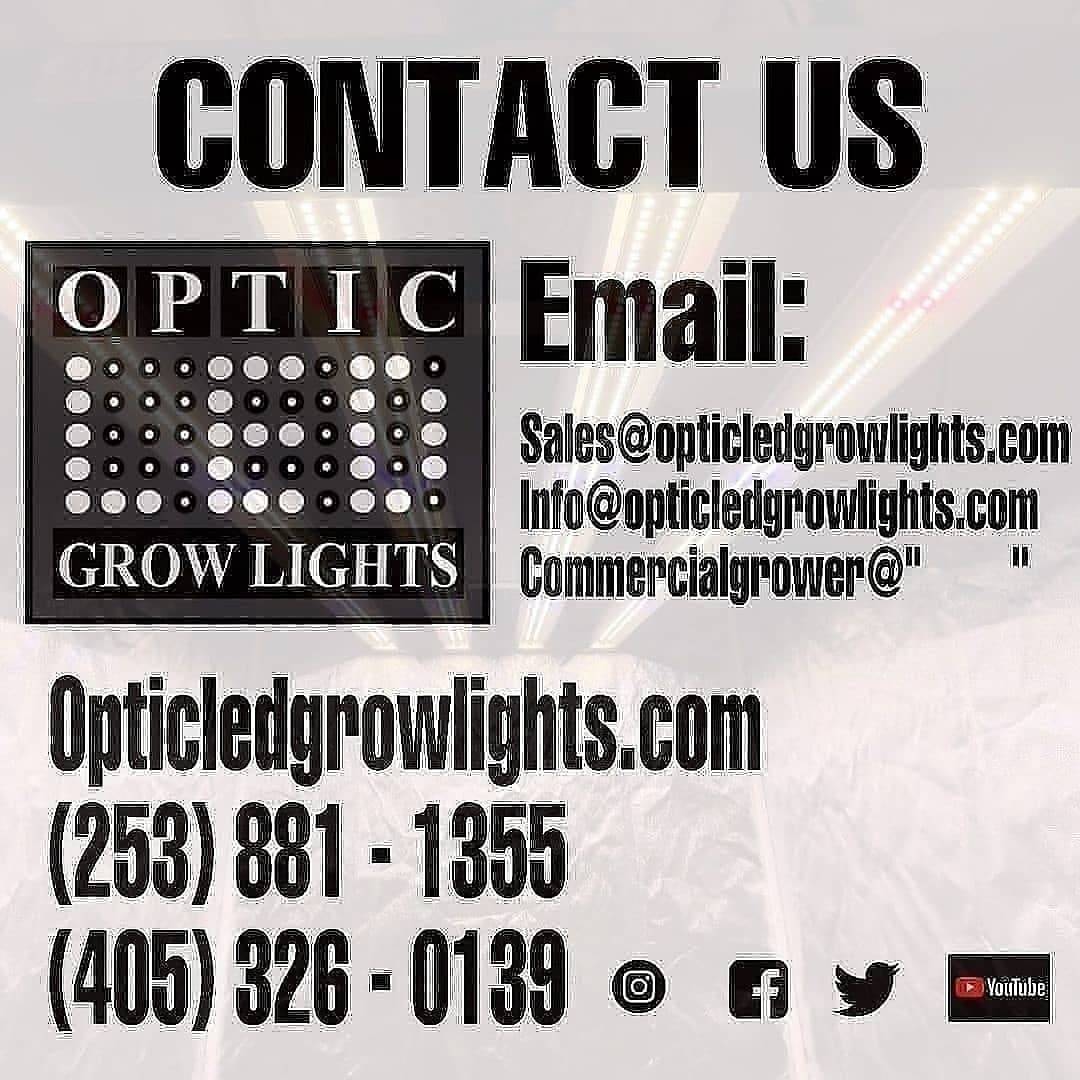 WGREGO202's tweet photo. Shout out to @rootsnshoots420 and his double Optic 8+ grow!
"These Optic8's are the business!π₯"
#ledgrown #opticled #highgrade #growyourown #cannabis #sativa #indica #teamoptic #growyourbest #homegrown #buds #optic8 #cobs #bloomenhancers #meanwelldriver #ledgrower https://t.co/onuz9kG8jQ