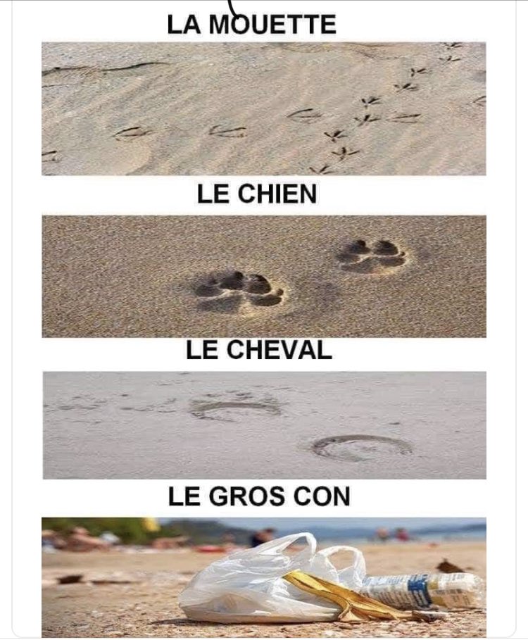 patrick_seneca's tweet image. Voilà! Tout est dit en 4 photos