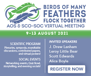 phylodiversity's tweet image. Proud to be working with a great team @leticiasaurus @RonMumme @ajshultz622 @erinsmorrison @eco_evan @SahasBarve @jenniferwalshnh @JennHoutz @NandaHedwig @AmOrnith to bring you #2021AOS_SCO. We have an amazing line-up. Join us for great #ornithology! meeting.americanornithology.org