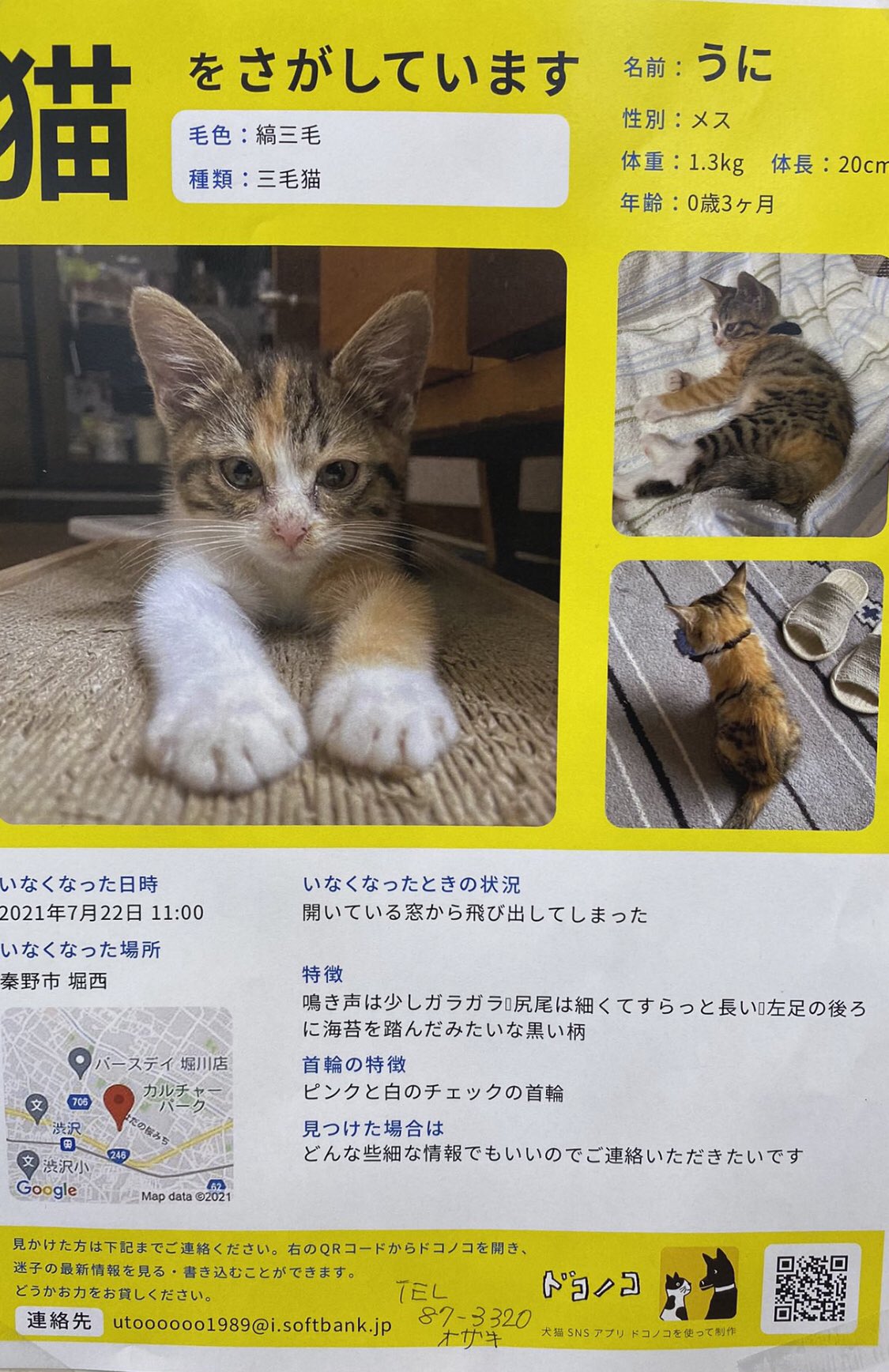 Follow はだねこ S Info Hadanoneko Latest Tweets Twitter