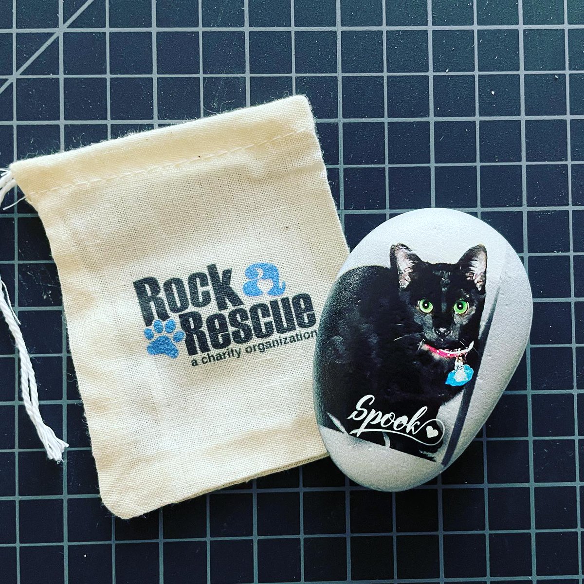 Actual customer rock ❤️
#Catmom #catdad #SupportLocalShelter #ShelterDonation #RockaRescue #Customer
#Memorial #MemorialStone
