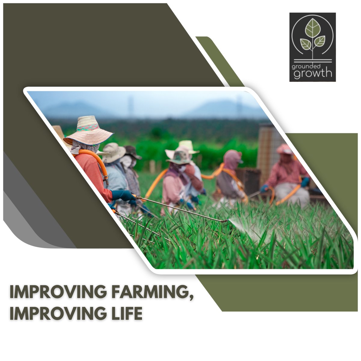 grounded growth tweet media