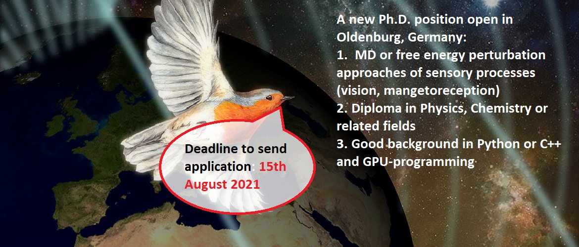Looking for a new Ph.D. candidate for our group. More info here: uol.de/stellen?stelle…
#quantumbiology #visualization #moleculardynamics #computationalphysics #biology #PhDposition #UOL