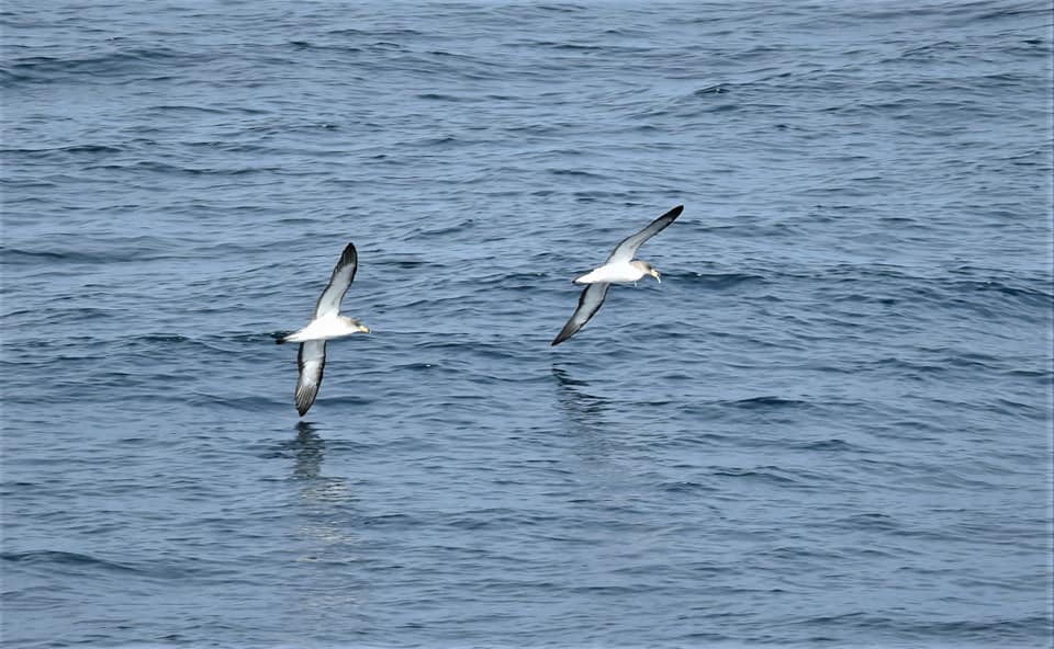 Associação Projecto Vitó tweet media