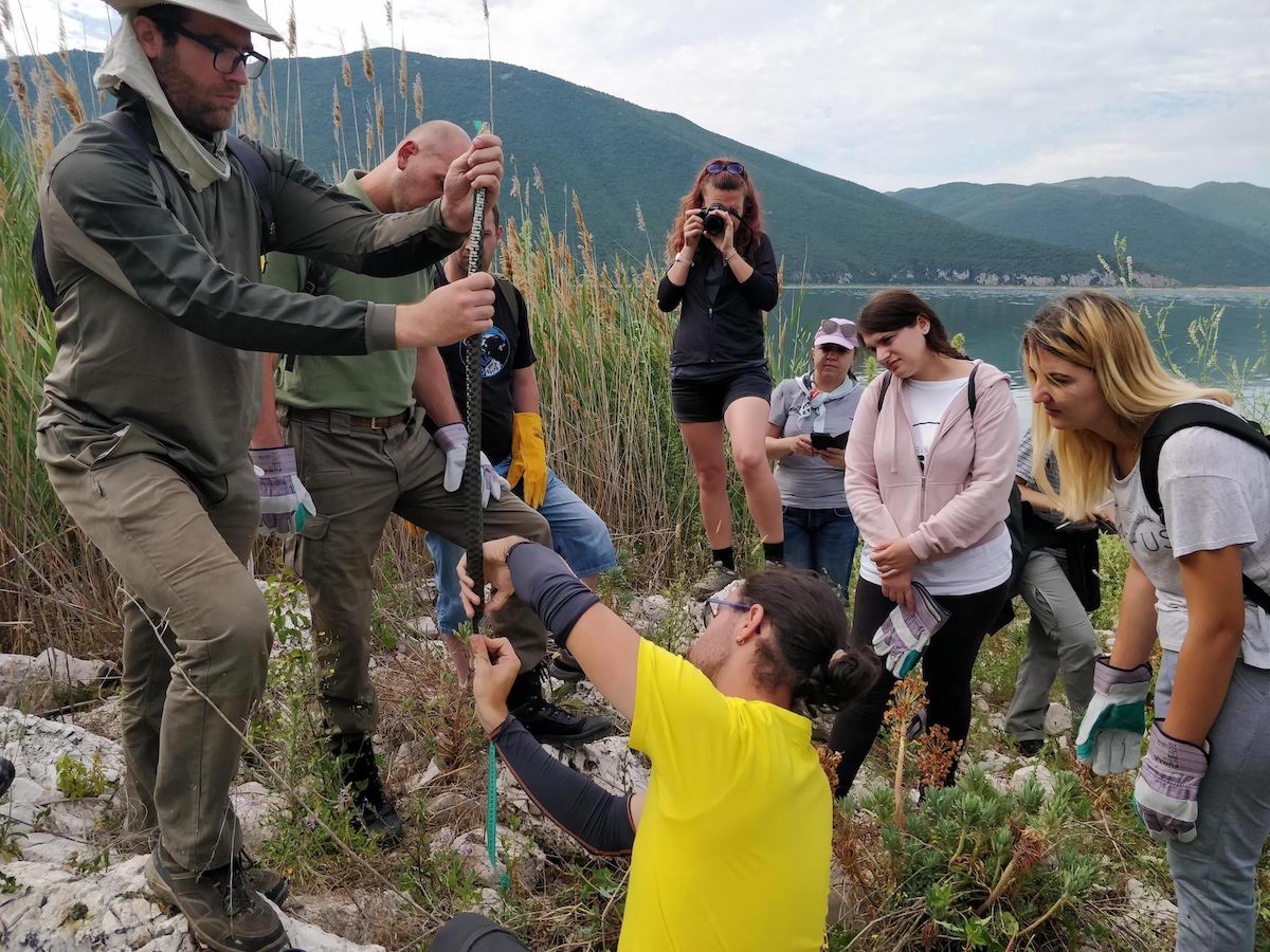 PPNEA's tweet photo. First #dicesnake🐍monitoring on the #Maligrad Island in #Prespa, #Albania 🇦🇱
Read more👇👇
https://t.co/IR6z9Cbs6c
@ContactMES @EuroNaturORG #PrespaNet https://t.co/b5qDmeUYIA