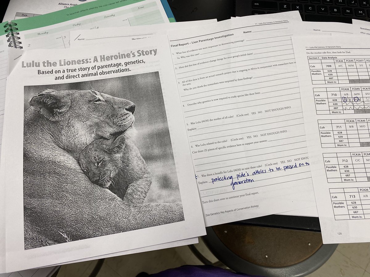 TFY77's tweet photo. Learning about using Storylines in biology - such an awesome use of CER, inquiry, & authentic tasks to learn biology! #learning #storylining https://t.co/a4rgTBYhw1