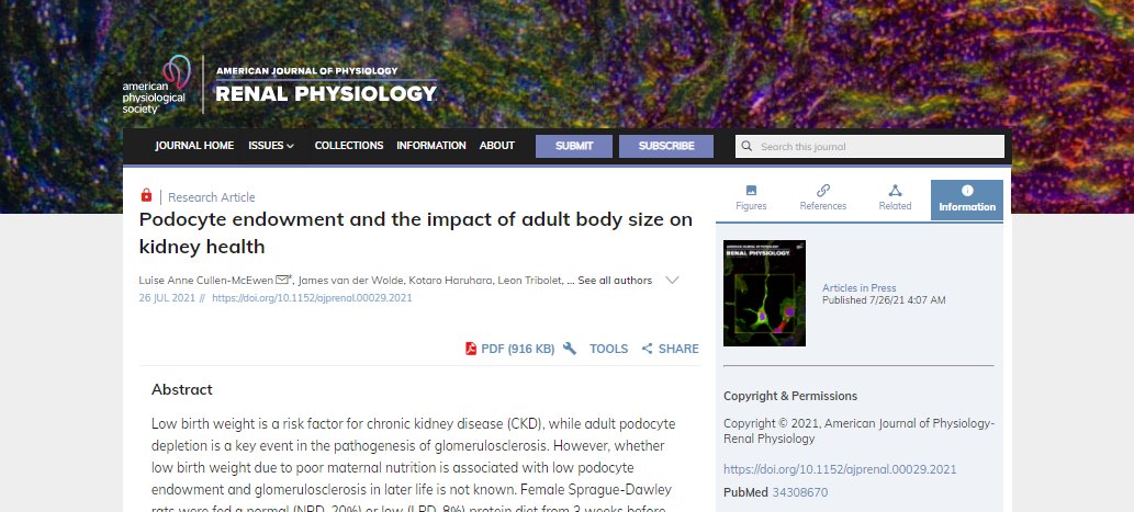 APSPublications's tweet image. Podocyte endowment and the impact of adult body size on kidney health - new in @AJPRenal 

journals.physiology.org/doi/10.1152/aj…

#developmentalprogramming #articlesinpress