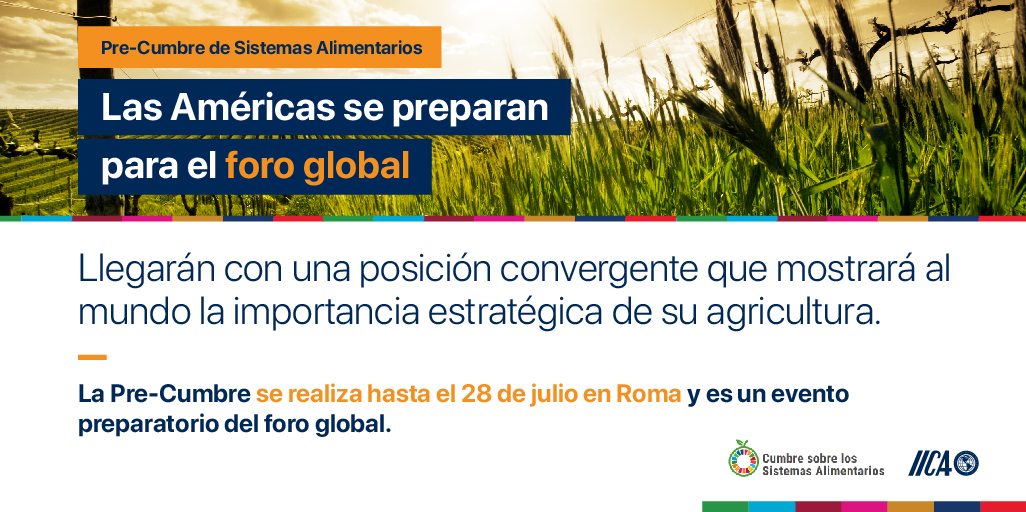 🌎Las Américas están presentes en la Pre-Cumbre de Sistemas Alimentarios.
👉El encuentro global es un evento preparatorio para la Cumbre de Sistemas Alimentarios, convocada por el secretario general de la ONU, con la misión de transformar la producción y el consumo de alimentos.