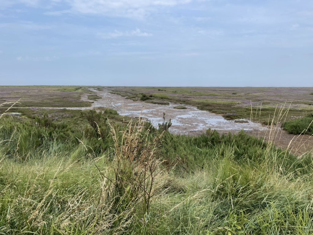 Look at it. Salt marshes Stiffkey, the place I love most in Norfolk #saltmarshes #stiffkey #mostbeautifulplace