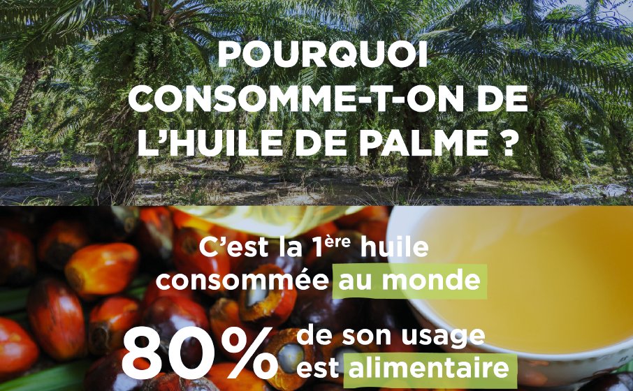 Comment répondre à la demande mondiale croissante en matières grasses sans nuire à l’environnement ?
On vous dit tout sur l’huile la + consommée au monde, son impact environnemental et les solutions apportées par son alternative: l’#huiledepalme durable.
👉alliance-preservation-forets.org/app/uploads/20…