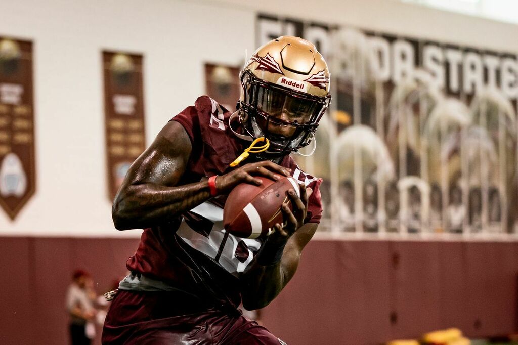 Go Seminoles tweet media