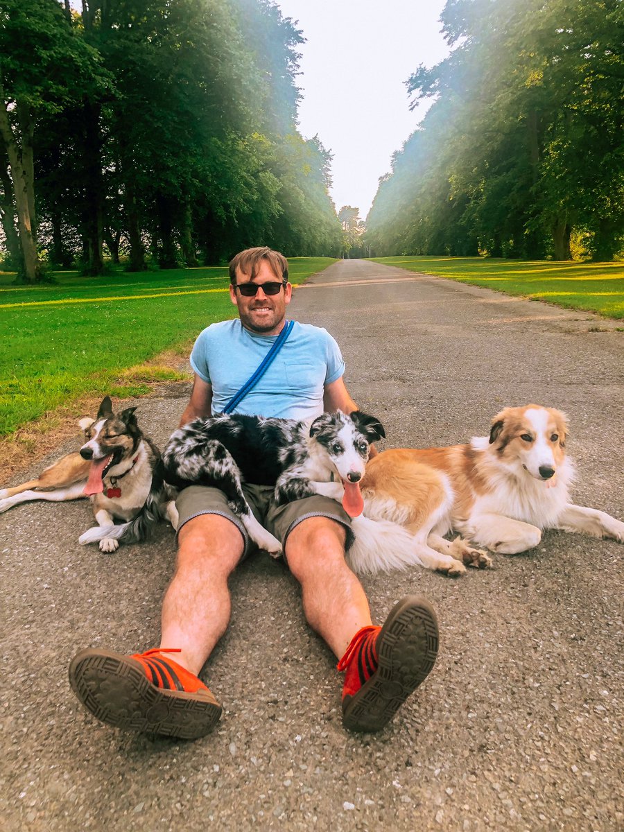 The unholy trinity 🐾