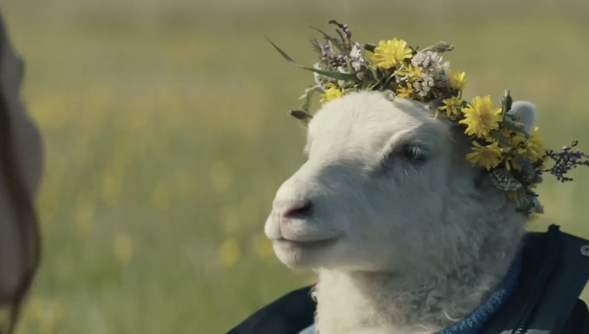 <a href="/A24/">A24</a> <a href="/LambMovie/">Lamb</a> Our new may queen ❤🌼