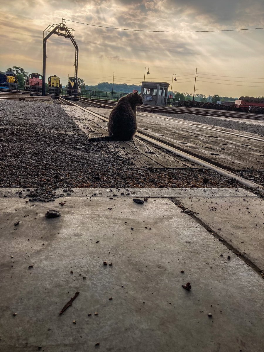 There’s a feeling I get when I look to the west and my spirit is crying for leaving. #ageofsteamroundhouse #steam #train #trains #locomotive #steamlocomotive #steampunk #railroad #railroadhistory #cats #catsofinstagram #stairwaytoheaven #ledzeppelin